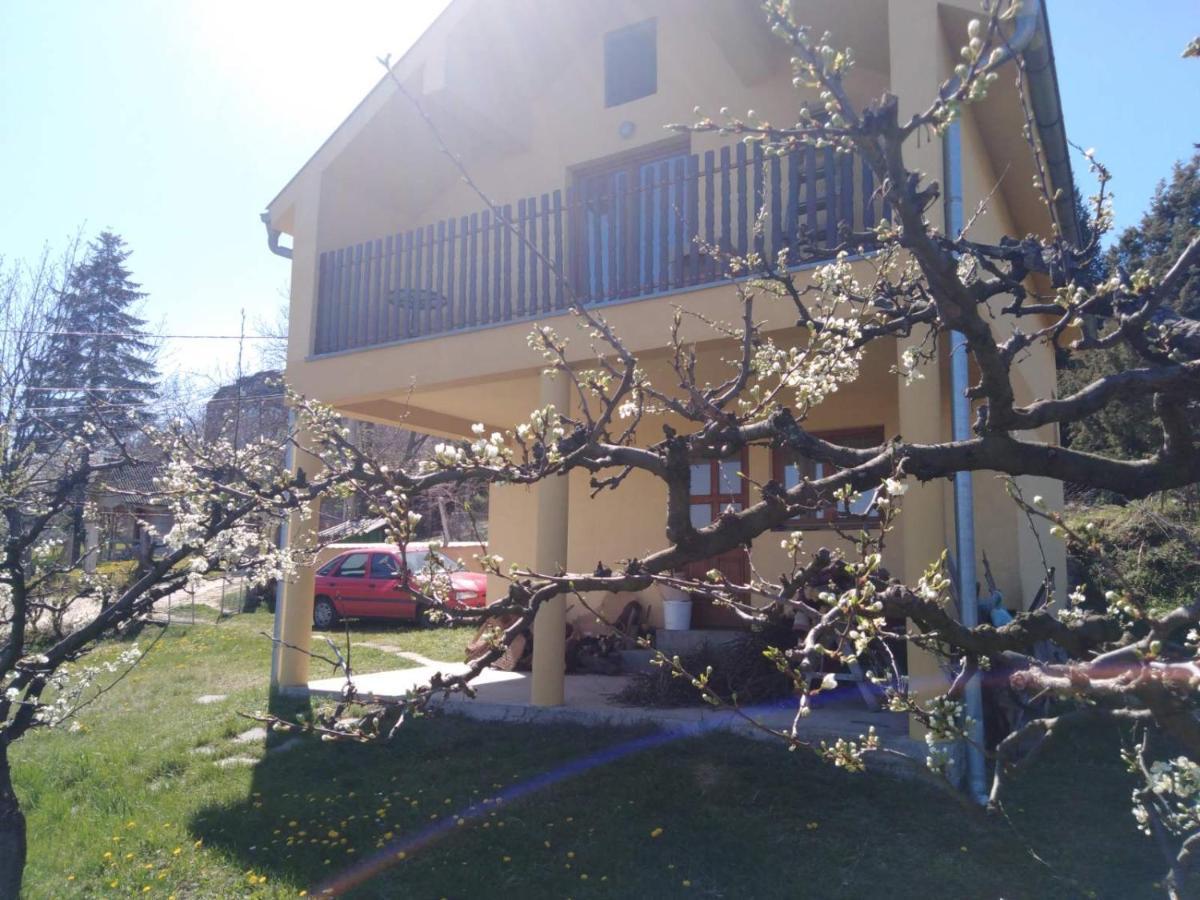 Dedinje Villa Jagodina Kültér fotó